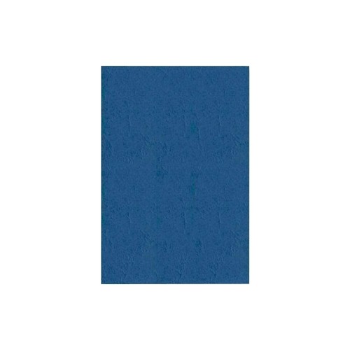 Coperti indosariere Apex, imitatie piele, A4, albastre, 100 coli/top